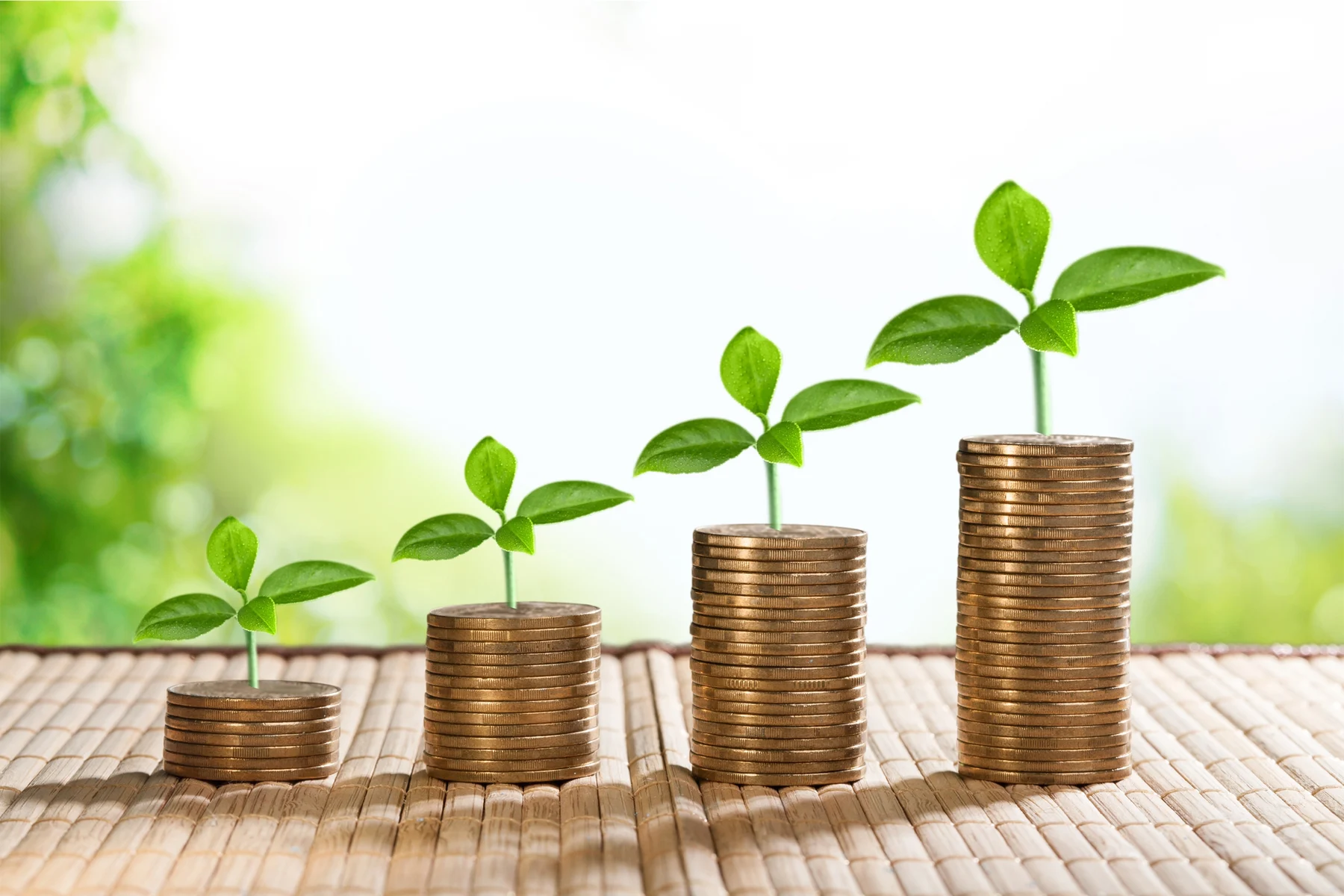 investir dans un ERP